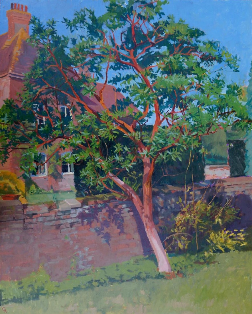 The Red Tree II