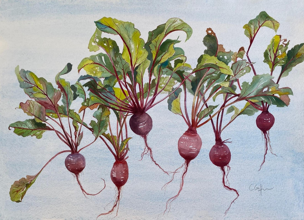 Homegrown Beetroot