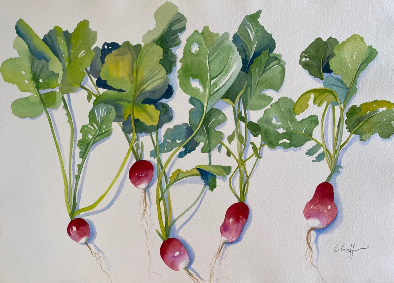 Homegrown Radishes