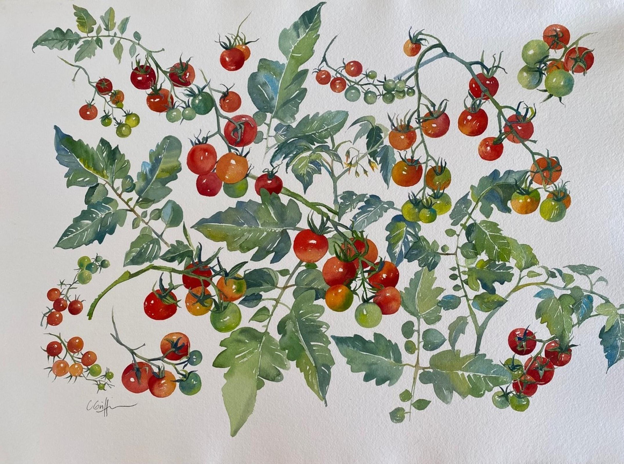 Homegrown Tomatoes