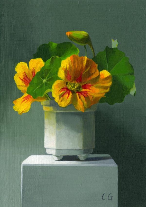 Nasturtiums on a Box