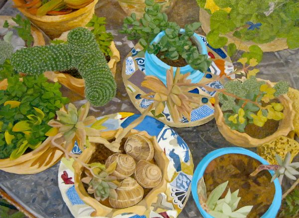 Succulents and Snails