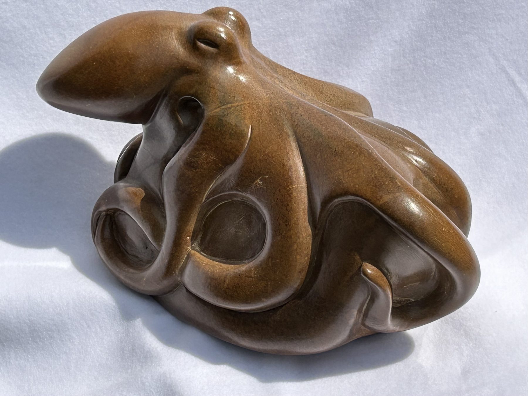 Octopus