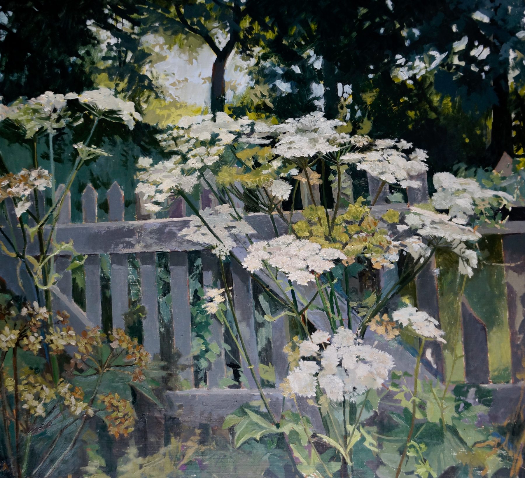 Hogweed by the Gate