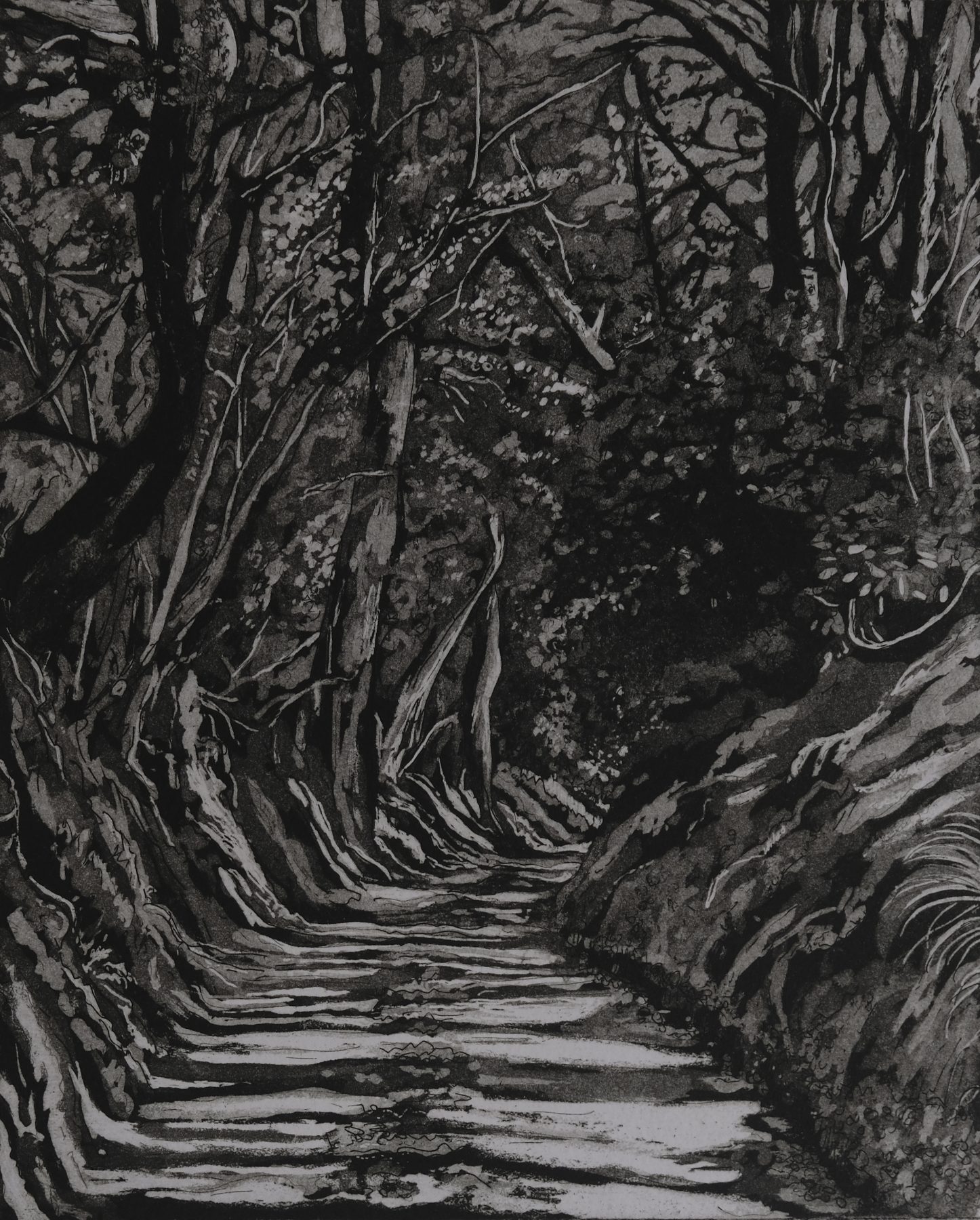 Tree Shadows on Radnor Lane