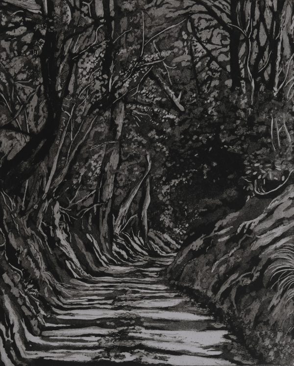 Tree Shadows on Radnor Lane