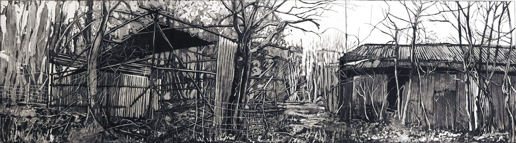 Dilapidated Barns at Hangers Wood
