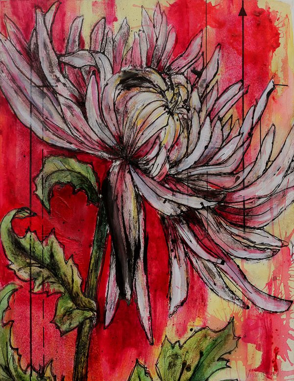 Dahlia