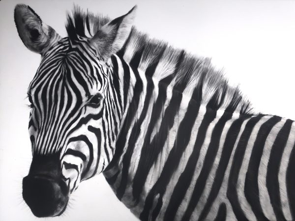 Zebra No.3