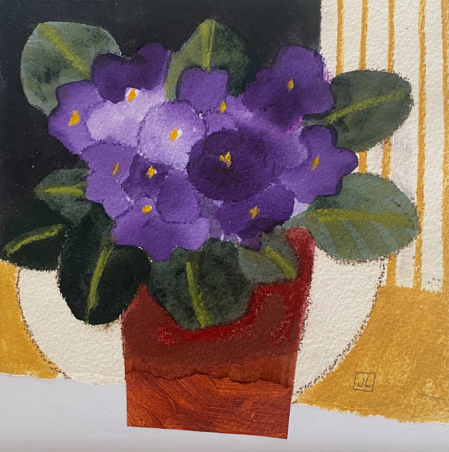 African Violets