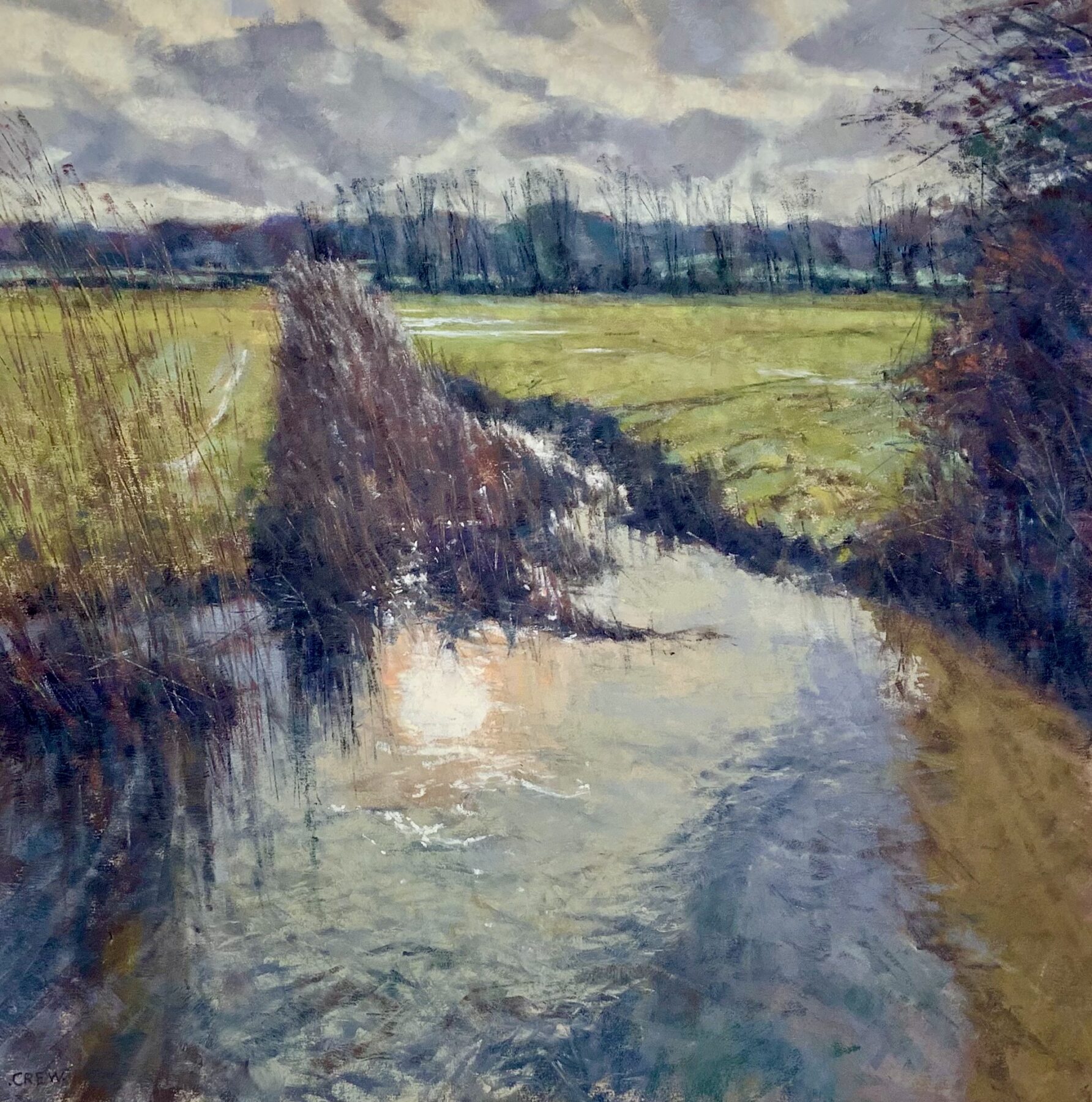 Receding Flood Water