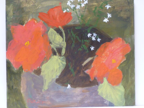 Big Headed Begonias