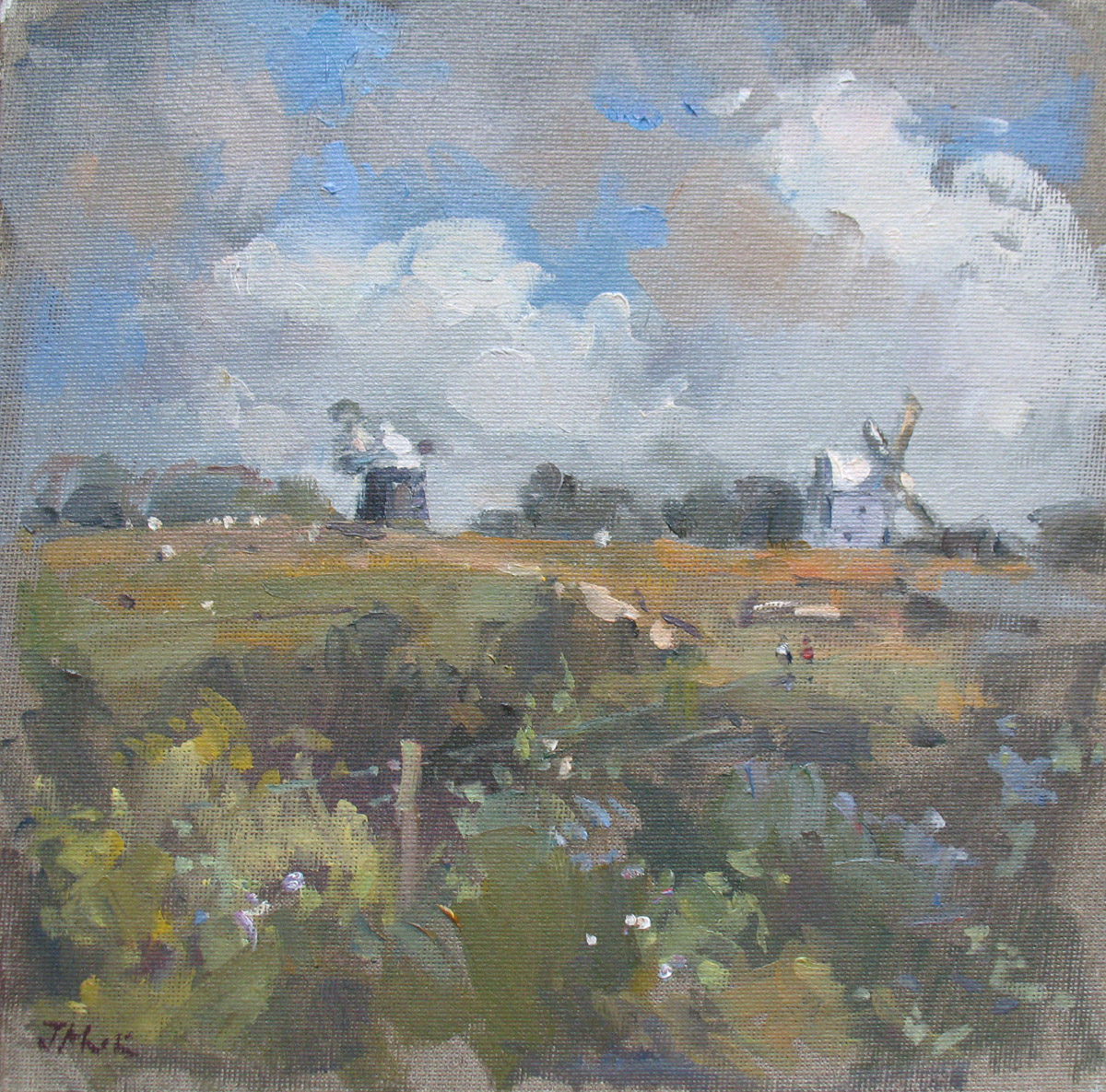 Clayton Windmills