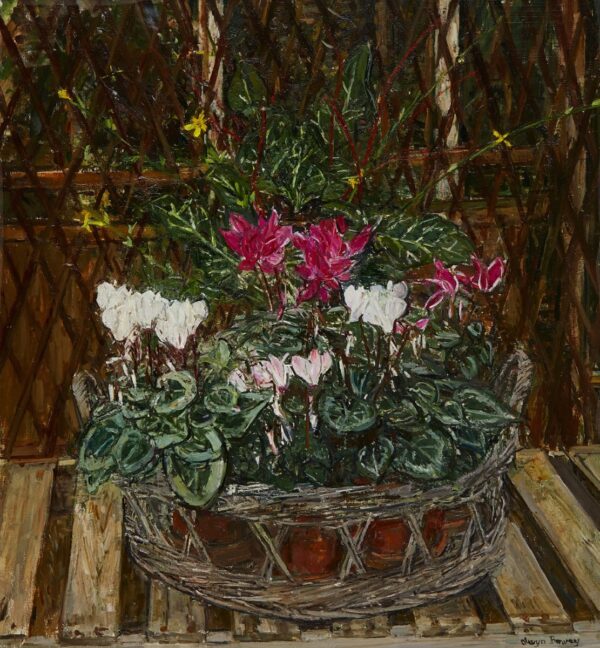 Cyclamen
