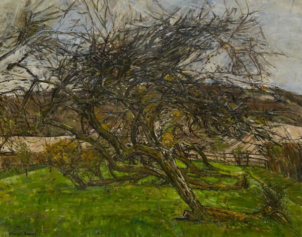 Fallen Trees