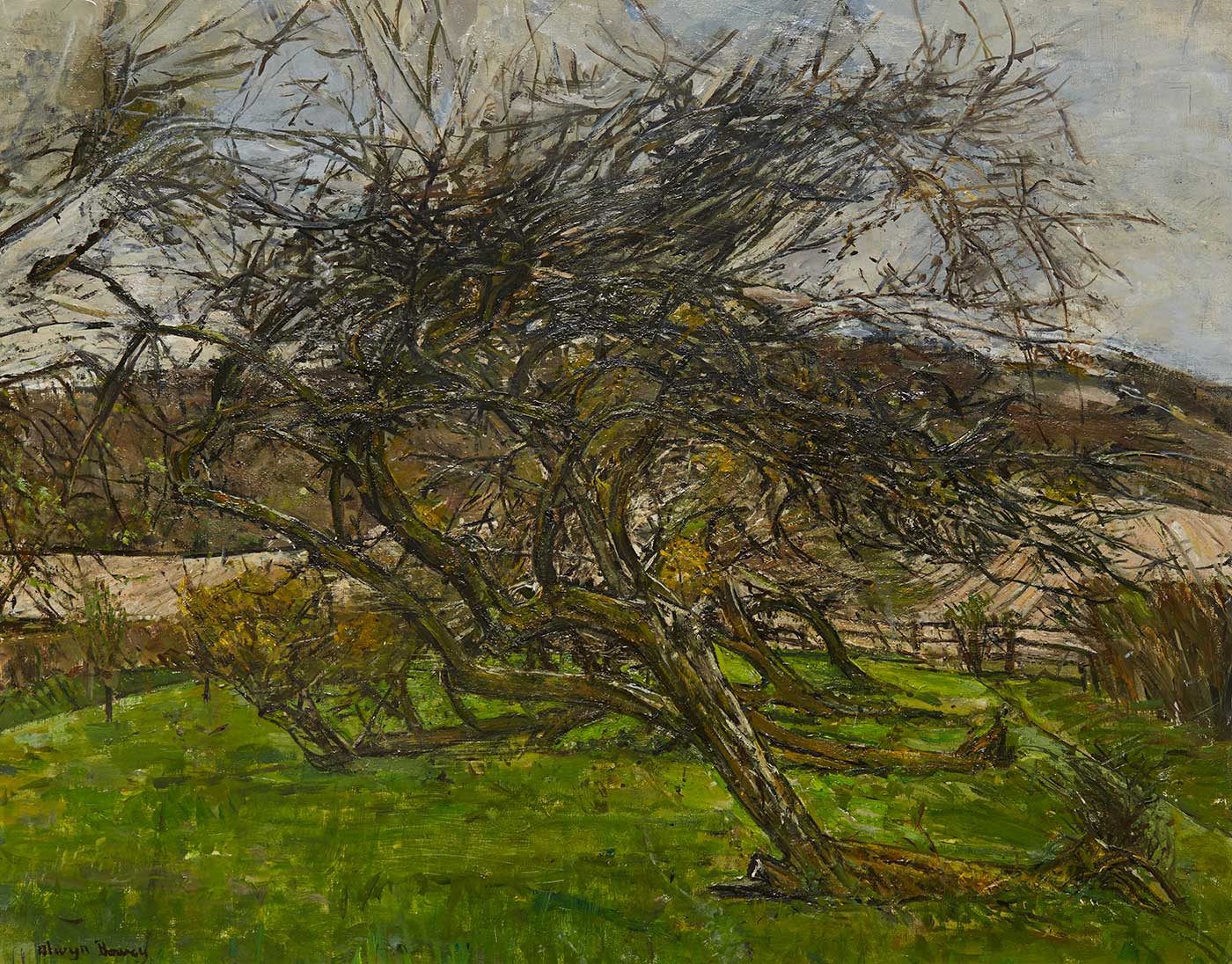 Fallen Trees