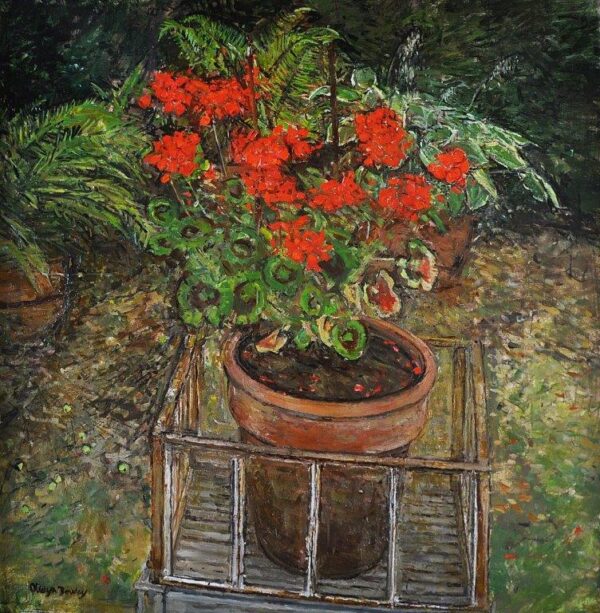 Geraniums
