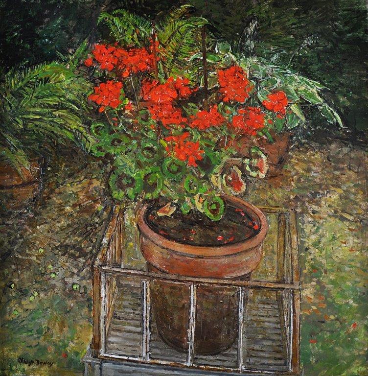 Geraniums