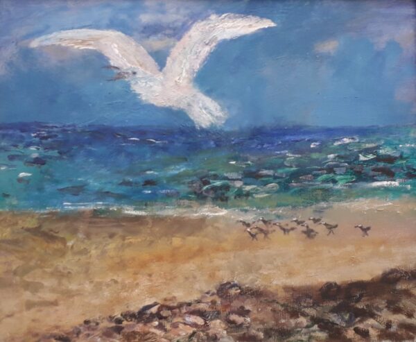 Seagull
